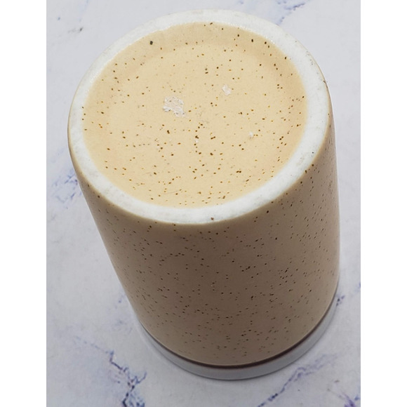 Catalina Island Souvenir Miniature Beige Vintage Ceramic Toothpick Holder - Picture 5 of 8